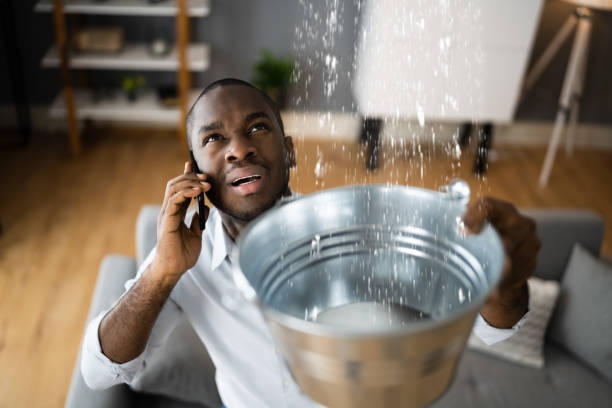 Best Water damage contractors near me  in Rushville, IN