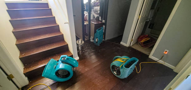 Best Flood restoration services  in Rushville, IN