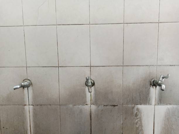 Best Residential water damage restoration  in Rushville, IN
