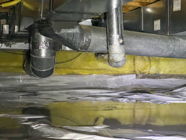 Best Flood damage cleanup  in Rushville, IN