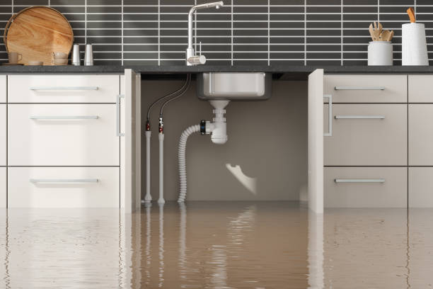Best 24/7 water damage repair  in Rushville, IN