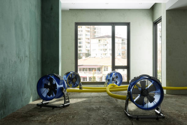 Best Professional water damage repair  in Rushville, IN