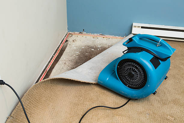 Best Emergency water damage restoration  in Rushville, IN