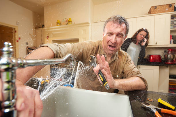 Best Carpet water damage restoration  in Rushville, IN